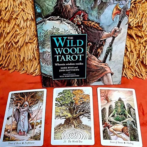 Wild wood card - wild, tarot